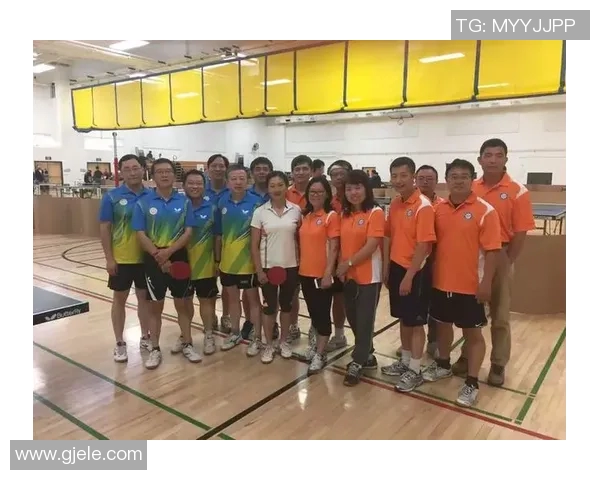 重庆乒乓球队团队协作的成功经验与挑战分析