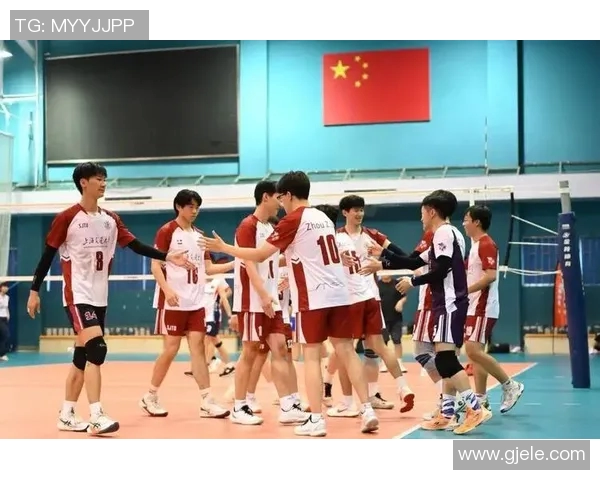 上海排球队技术揭秘：从训练到比赛的全景探索与分析