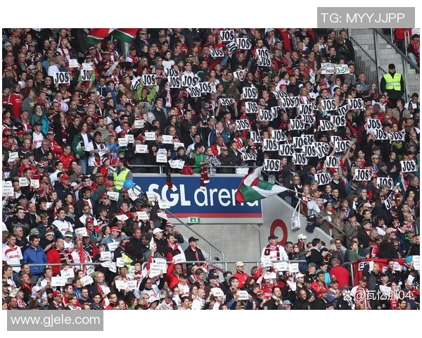 热刺足球明星风采尽显精彩瞬间回顾与球迷互动的美好时刻